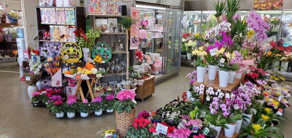 「花紀行」　（福岡県宗像市）の花屋店舗写真3